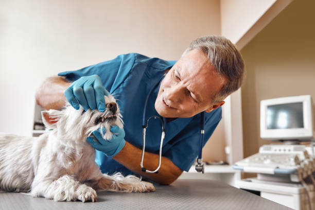 , OK Emergency Dental Service Company
